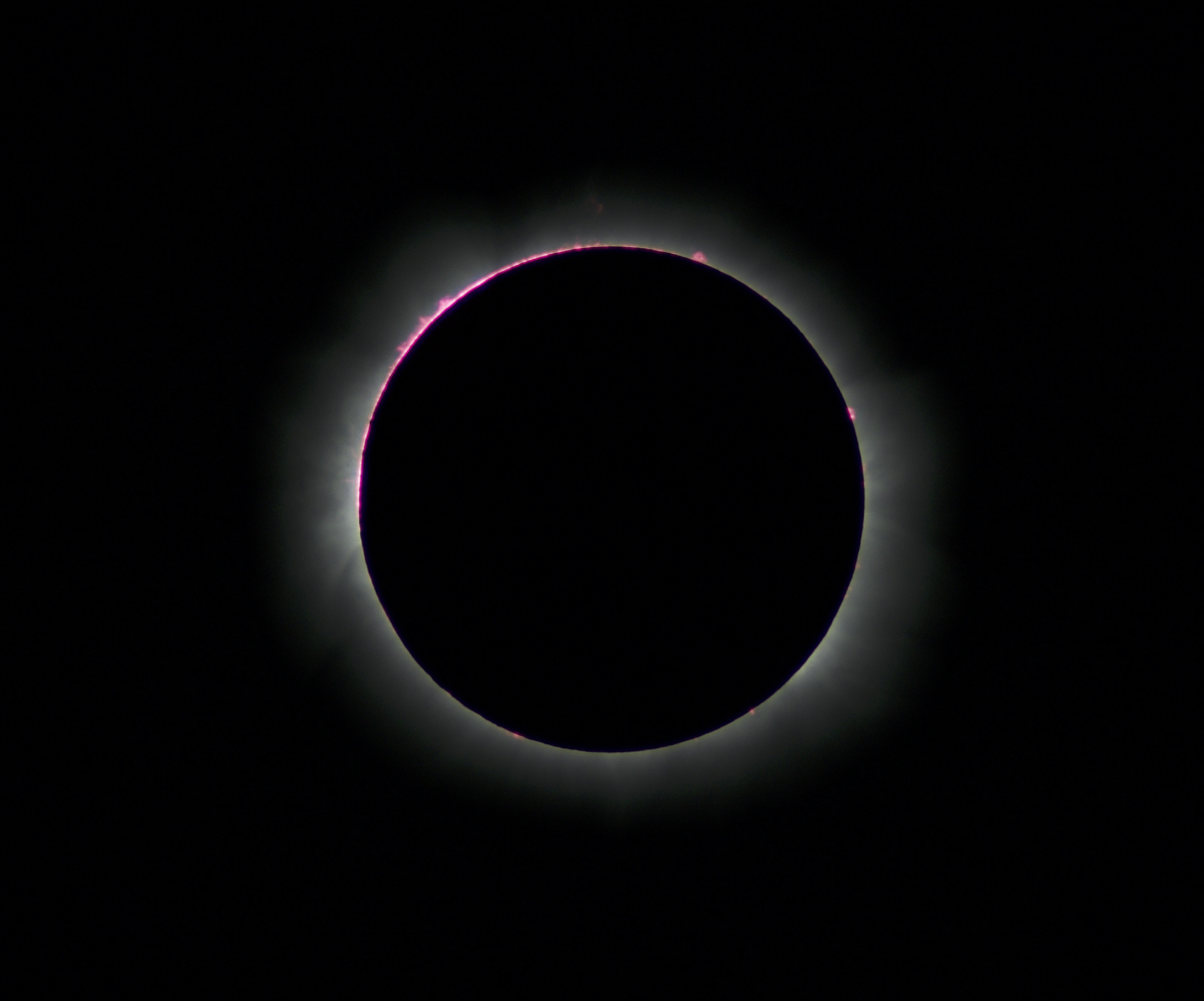The chromosphere and prominences during the 2013 total solar eclipse