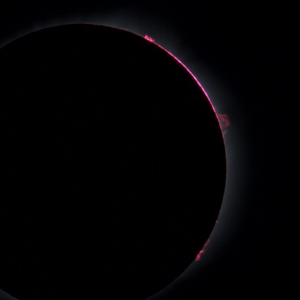 Chromosphere and solar prominences during the 2017 total solar eclipse