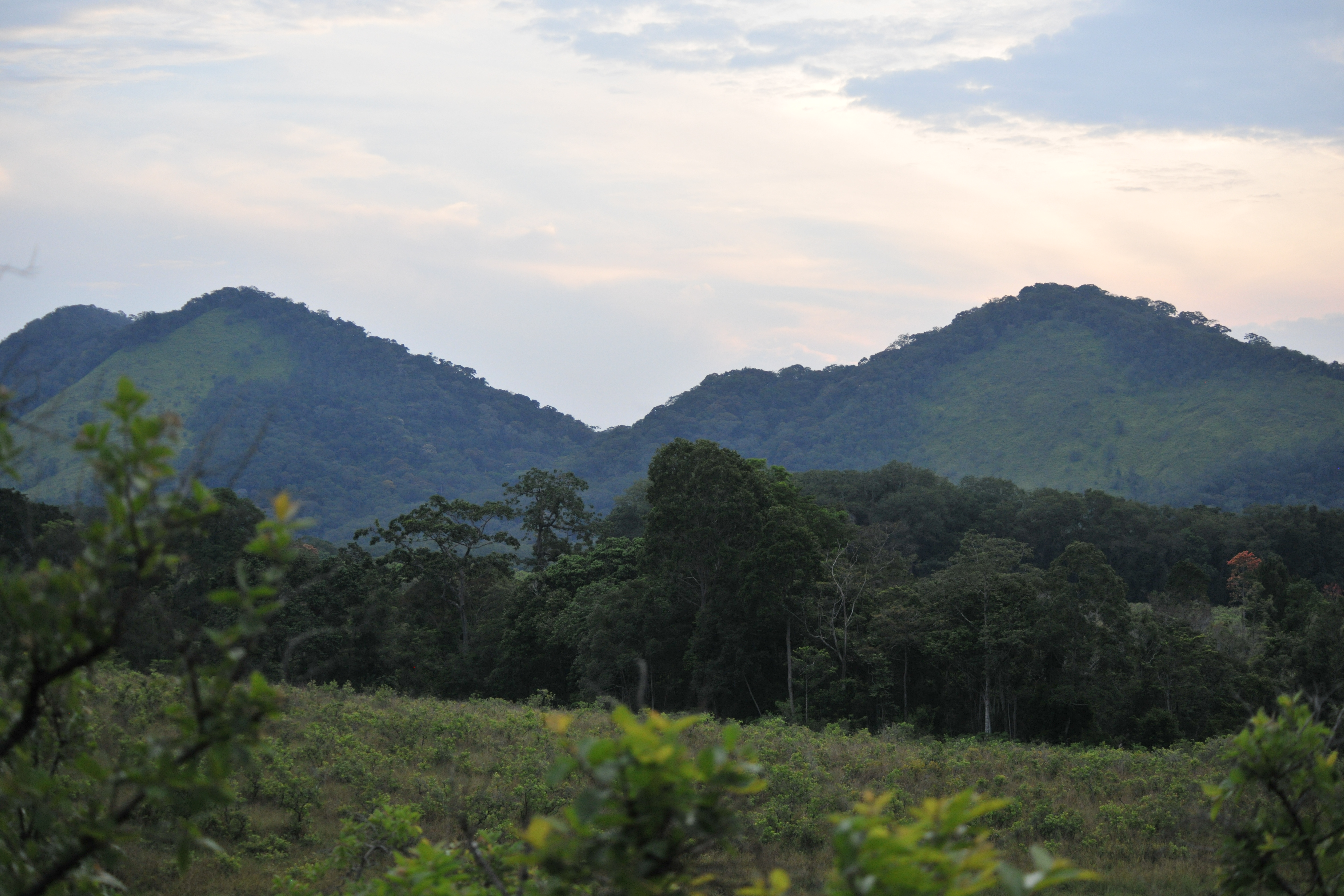 Lush jungle hills of Lopé National Park, Gabon